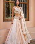 Asmee lehenga