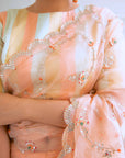Peach Hand Embroidered Jaal Saree Set