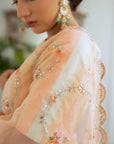 Peach Hand Embroidered Jaal Saree Set
