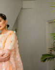 Peach Hand Embroidered Jaal Saree Set