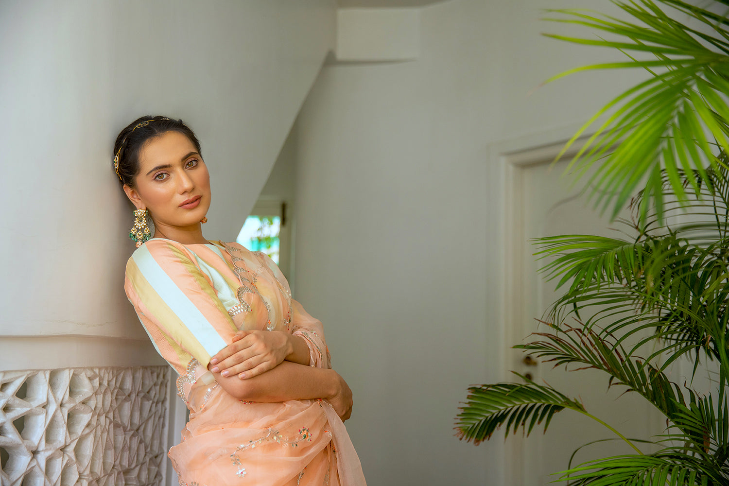 Peach Hand Embroidered Jaal Saree Set