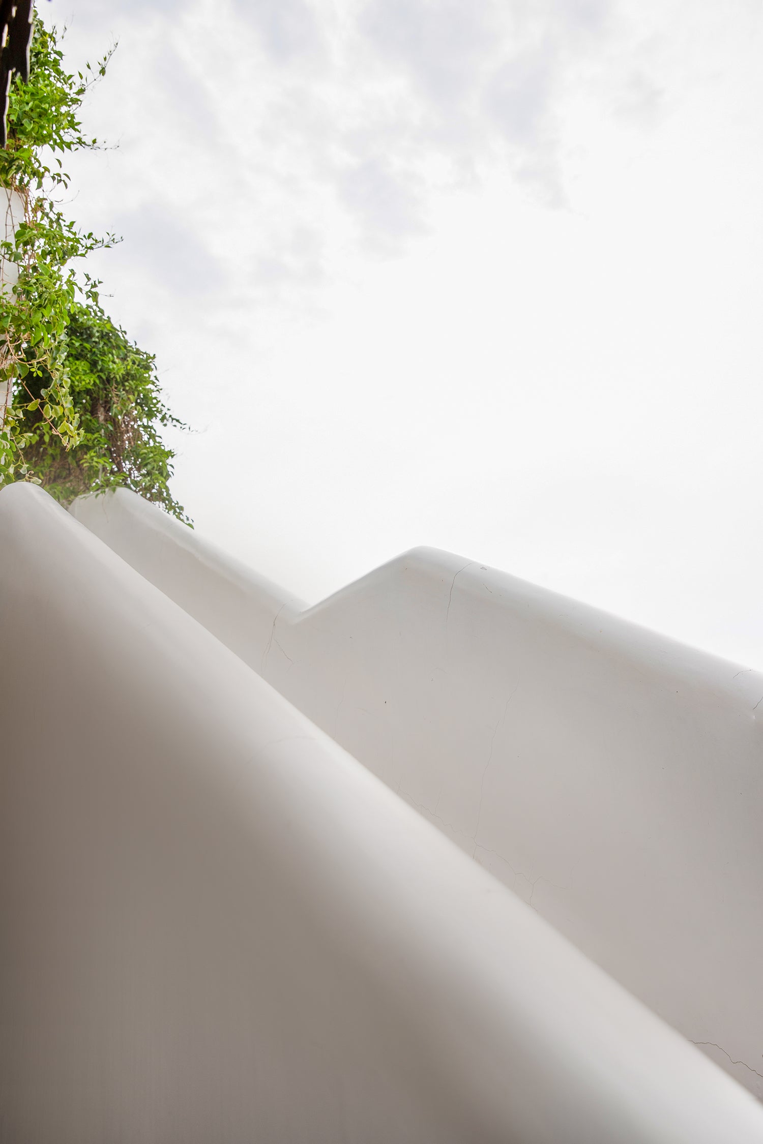 Deep Purple Gota Patti Border Saree Set