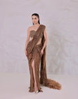 Tawny Birch Brown Color Saree And Feather