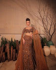 Golden Brown Embroidred Lehenga Set