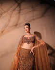 Golden Brown Embroidred Lehenga Set