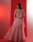 One Shoulder Crop Top and Skirt Lehenga with Feather and Mirror Work