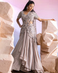 Grey Achal Cutwork Drape Saree