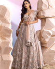 Silver Organza Bridal Lehenga