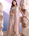 Silver Organza Cape Set