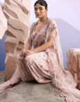 3D Embroidered Pant Saree