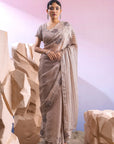 Silver Organza Saree