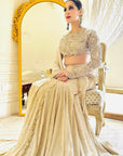 Golden Embellished Hand Embroidered Mukaish Saree