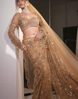 Traditional Golden Brown Color Saree