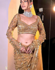 Traditional Golden Brown Color Saree