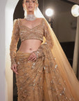 Traditional Golden Brown Color Saree