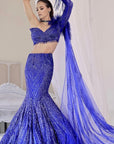 Electric Blue Fish Cut Lehenga