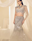Grey And Ivory Fish Cut Gown