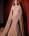Golden Fish Cut Lehenga