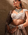Light Taupe Lehenga With Leaves Embroidery