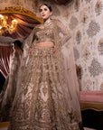 Rosy Brown Color Lehenga