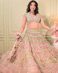 Pastel Pink Designed Lehenga With Embroidery