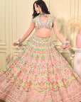 Pastel Pink Designed Lehenga With Embroidery