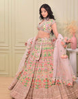 Pastel Pink Designed Lehenga With Embroidery