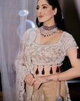 Nude Beige Saree