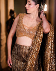 Metallic Saree
