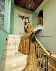 Pale Brown Golden Color Saree