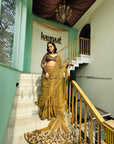 Pale Brown Golden Color Saree