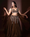 Ambar Lehengas