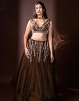 Ambar Lehengas
