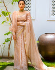 Beige Nude Hand Embroidered Lahariya Saree Set