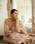 Beige Nude Hand Embroidered Lahariya Saree Set