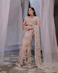 Nude Beige Saree