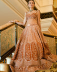 Rustic Elegence lehenga set