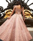 Brown Lehenga Set
