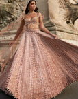Brown Lehenga Set