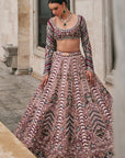 Wisper of Wine Lehenga Set