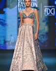 2 Pannel French Blue Lehenga Set