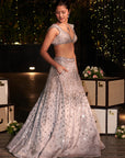 Shahi Shimmer Lehenga Set. 3 (Lehenga + Blouse + Dupatta)