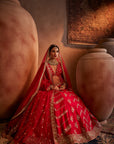 Red Hand Embroidered Lehenga Set