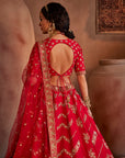 Red Hand Embroidered Lehenga Set