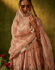 Pink Hand Embroidered Lehenga Set