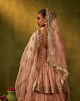 Pink Hand Embroidered Lehenga Set