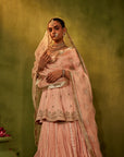 Pink Hand Embroidered Lehenga Set