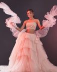 Blush Pink Polyester Mesh & Tulle Lehenga Set