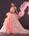 Blush Pink Polyester Mesh & Tulle Lehenga Set