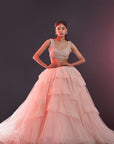 Blush Pink Polyester Mesh & Tulle Lehenga Set